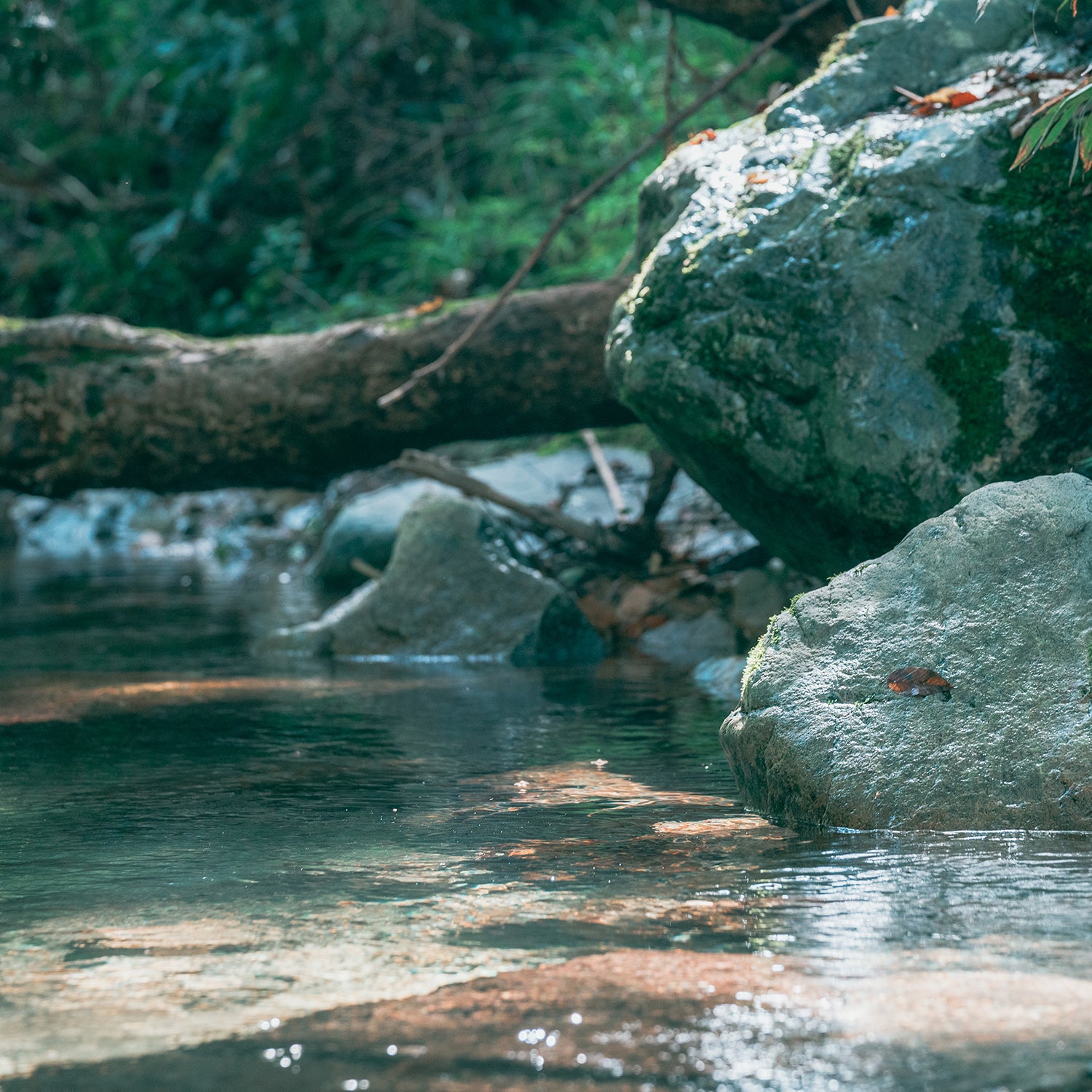 ＋S water ウォーターサーバー